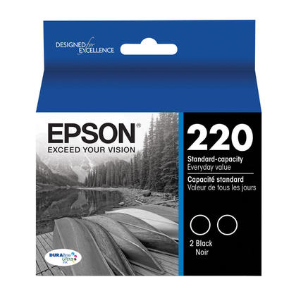 Epson R12X DuraBrite Ultra Black Ink, Pack of 2