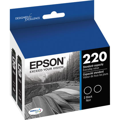 Epson R12X DuraBrite Ultra Black Ink, Pack of 2