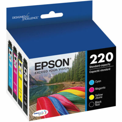 Epson R12X DuraBrite Ultra Black Ink, Pack of 2 T220