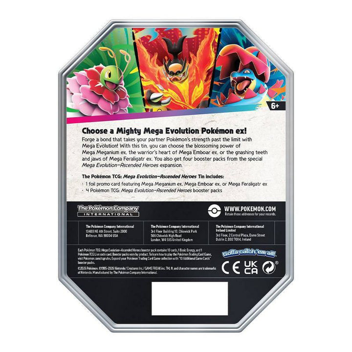 Mega Feraligatr ex Tin - Back of retail tin
